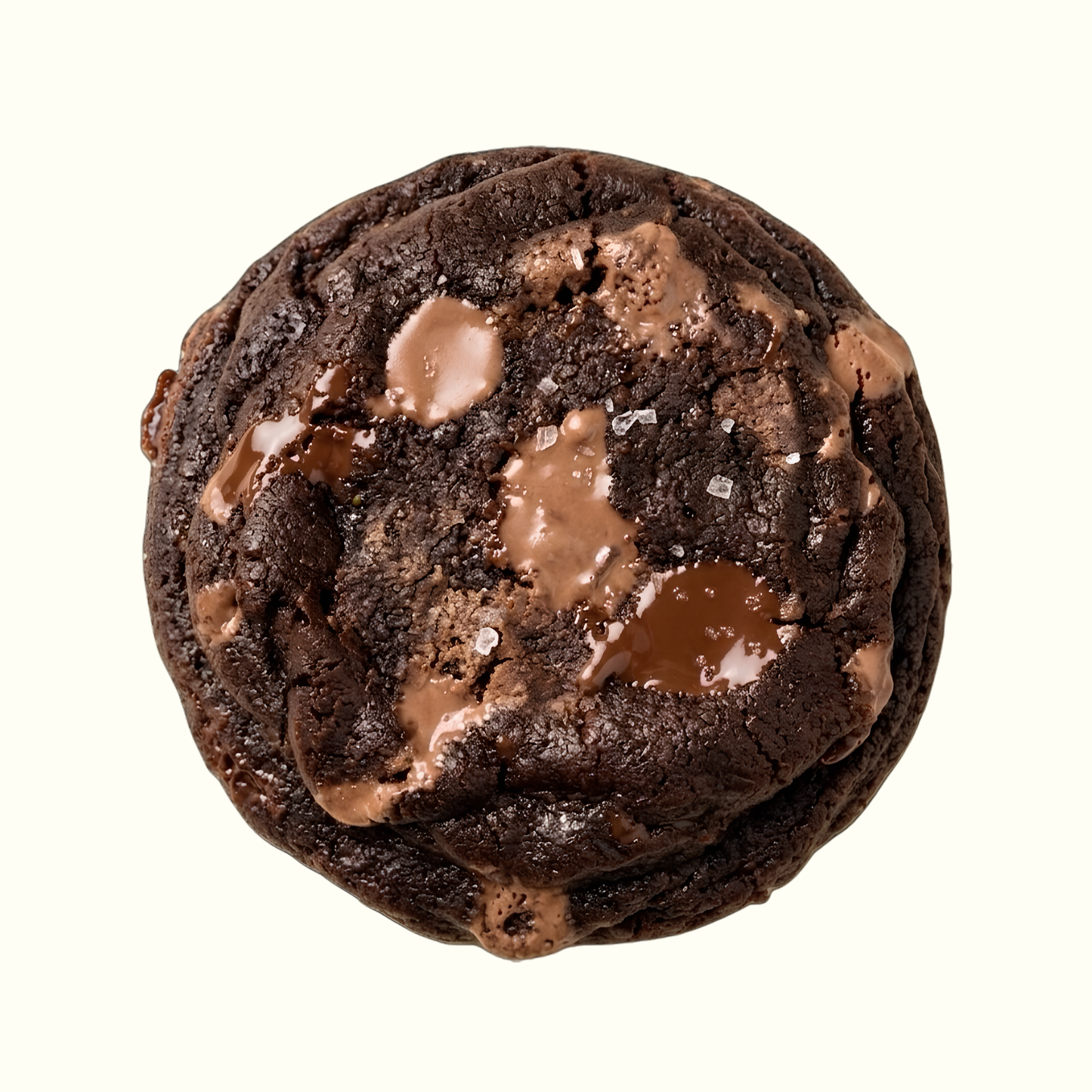 Double Chocolate Cookie